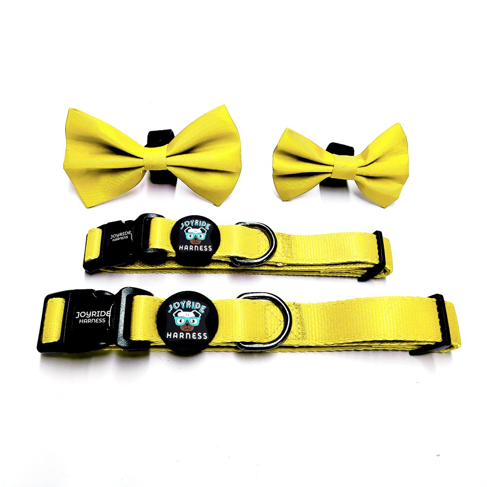 Sunshine Yellow Collar ( + free removable bowtie )