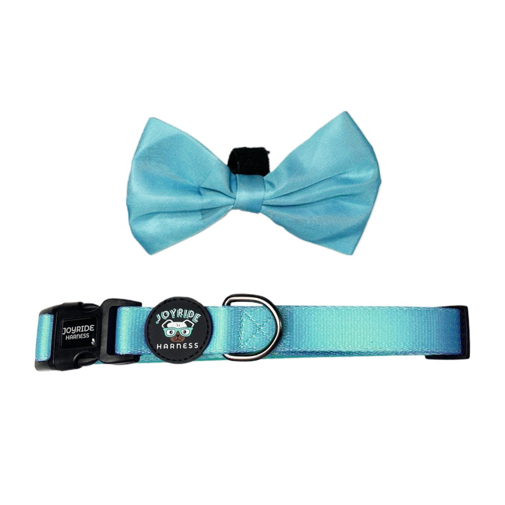 Teal Collar ( + free removable bowtie )