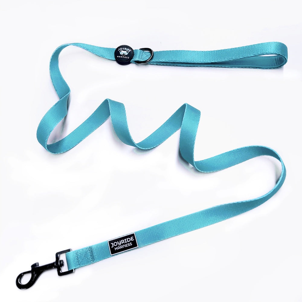 Teal Matching Dog Leash