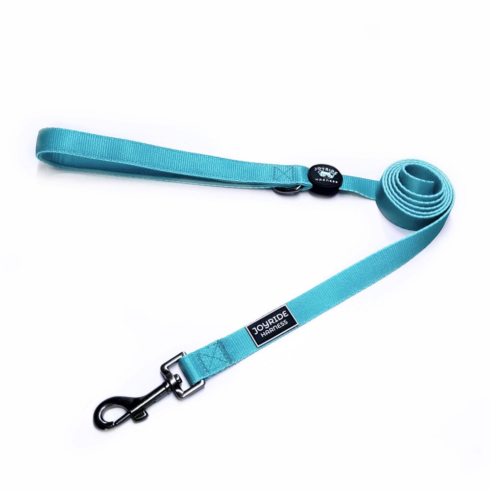 Teal Matching Dog Leash