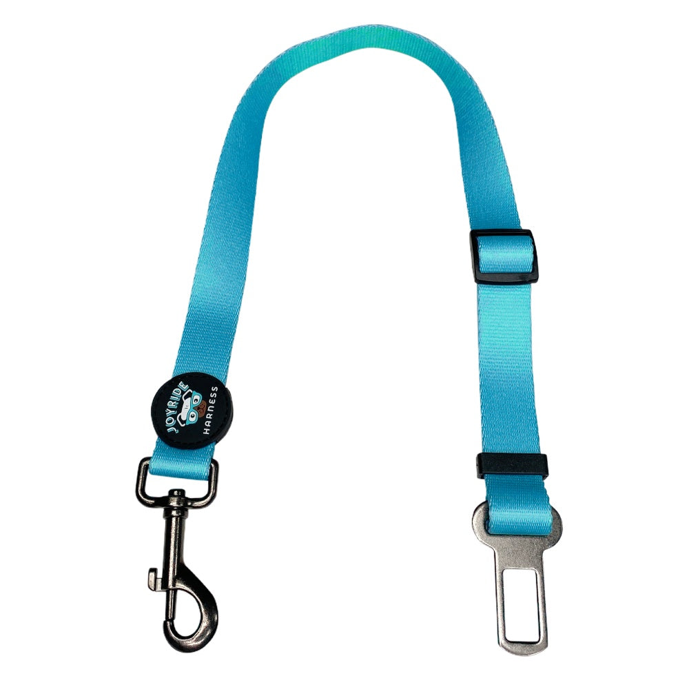 Teal Dog Safety Seat Belt