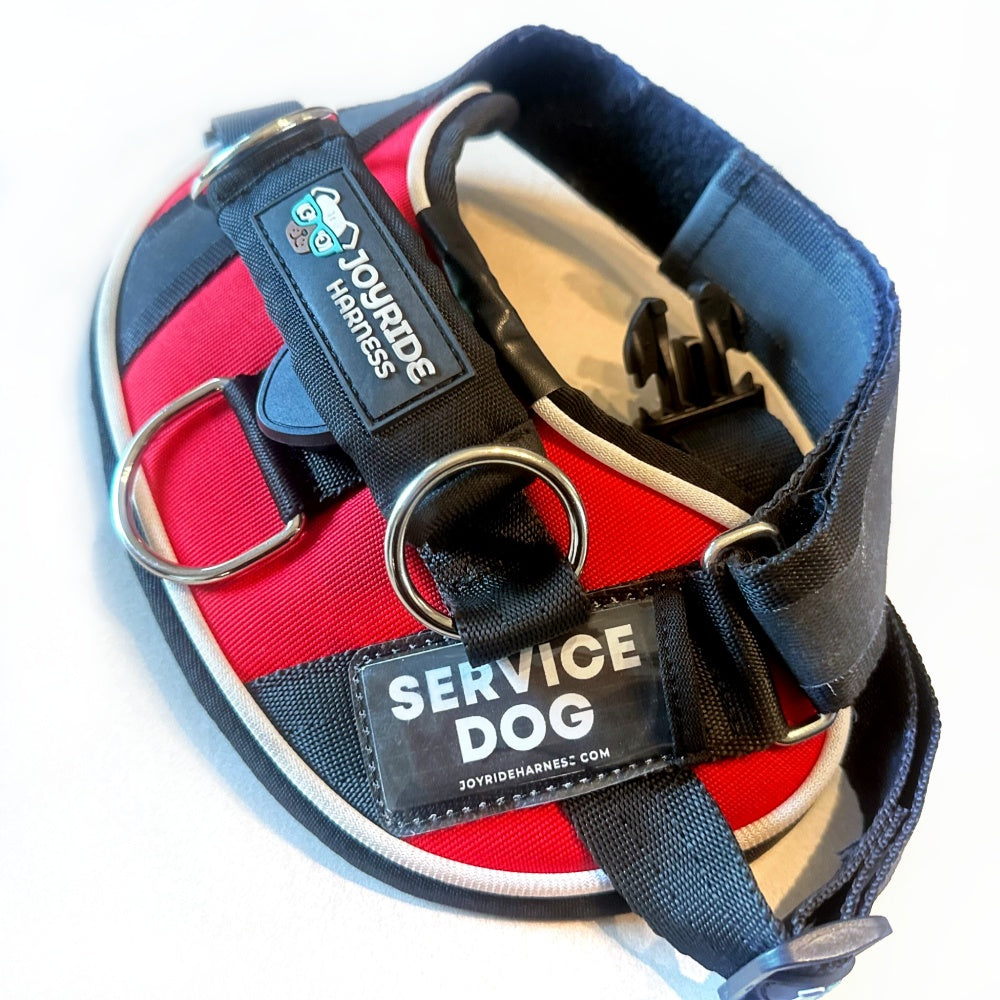 Free Custom Name Tags for 2.0 Harnesses PDF - 13 Tags Included ( -$19.95)