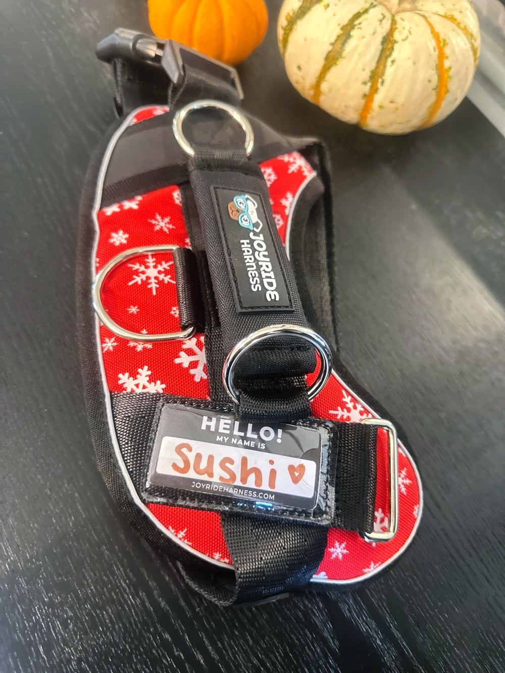 Free Custom Name Tags for 2.0 Harnesses PDF - 13 Tags Included ( -$19.95)