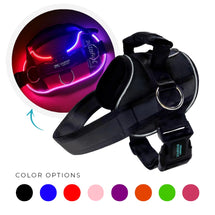 Stylish and functional LED dog harness