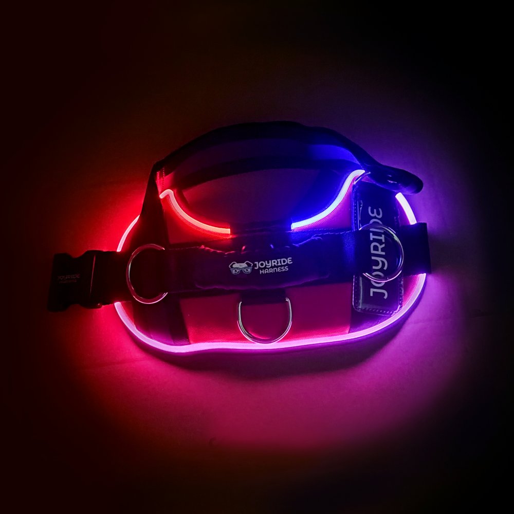 Nighttime safety dog harness with LED lights