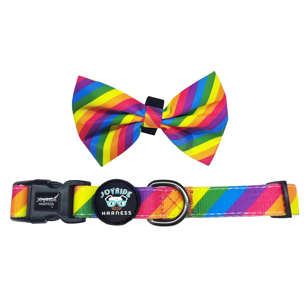 Rainbow Collar ( + free removable bowtie )