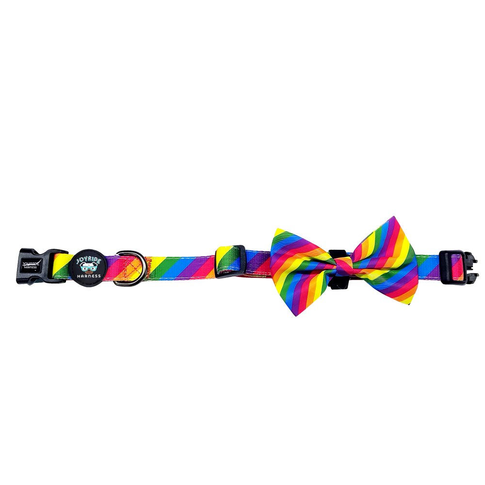 Rainbow Collar ( + free removable bowtie )