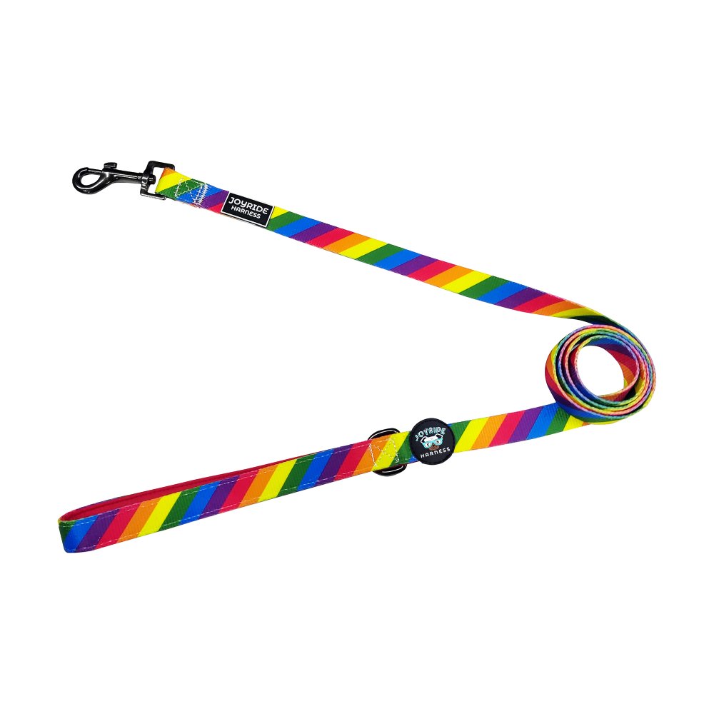 Rainbow Matching Dog Leash