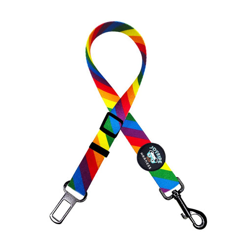Rainbow Dog Safety Seat Belt