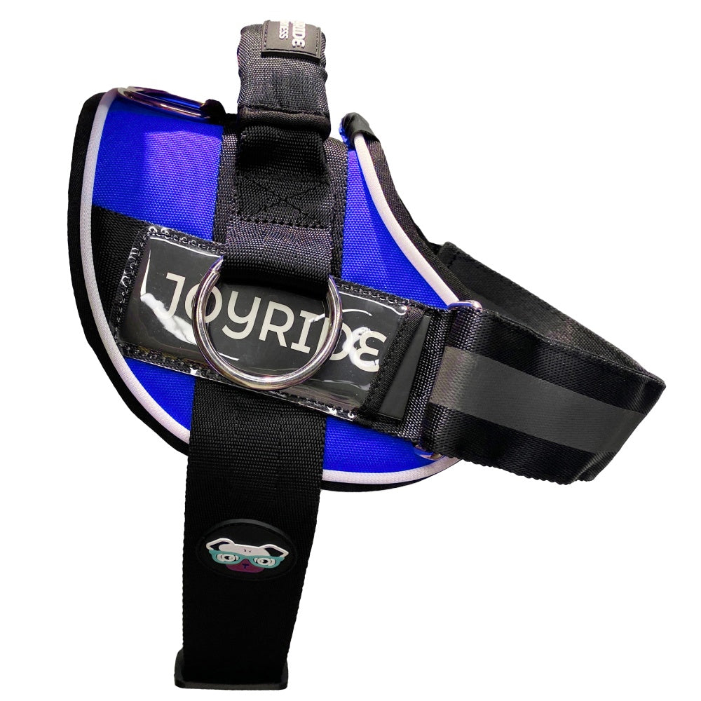 Stylish LED dog harness design