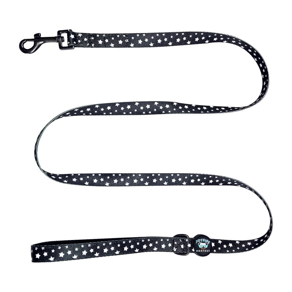 Starry Night Matching Dog Leash