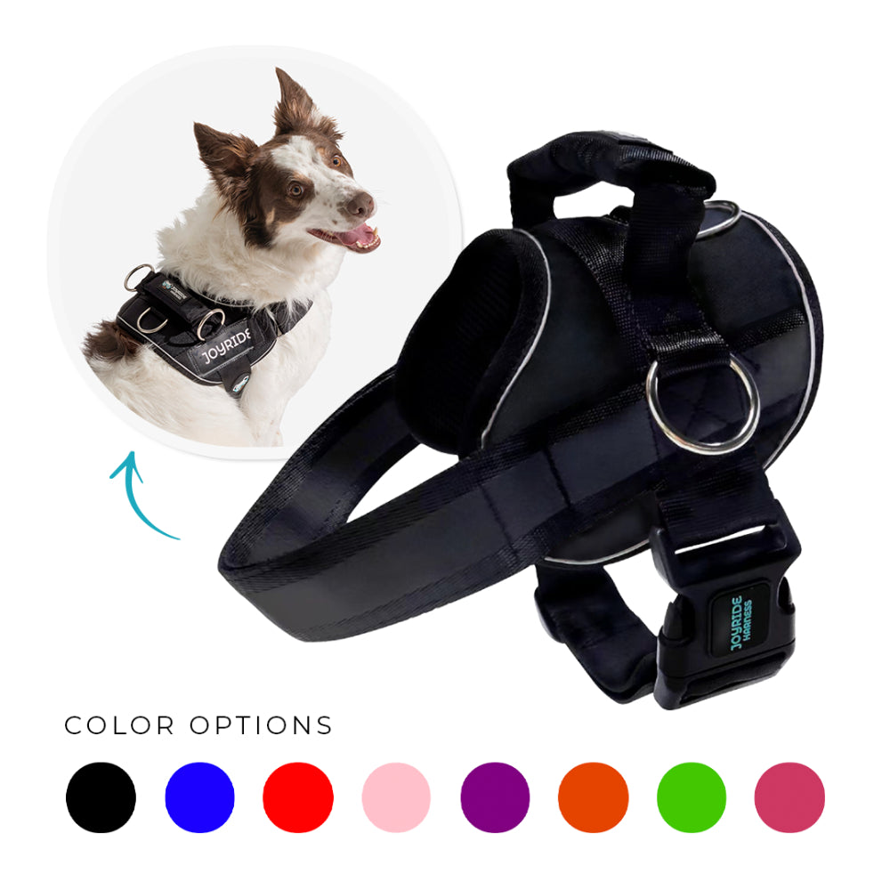 All-around dog harness with handle
