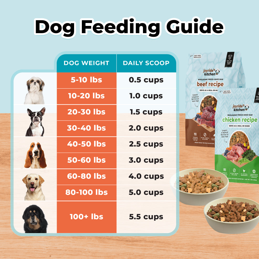 freeze dried raw dog food feeding guide