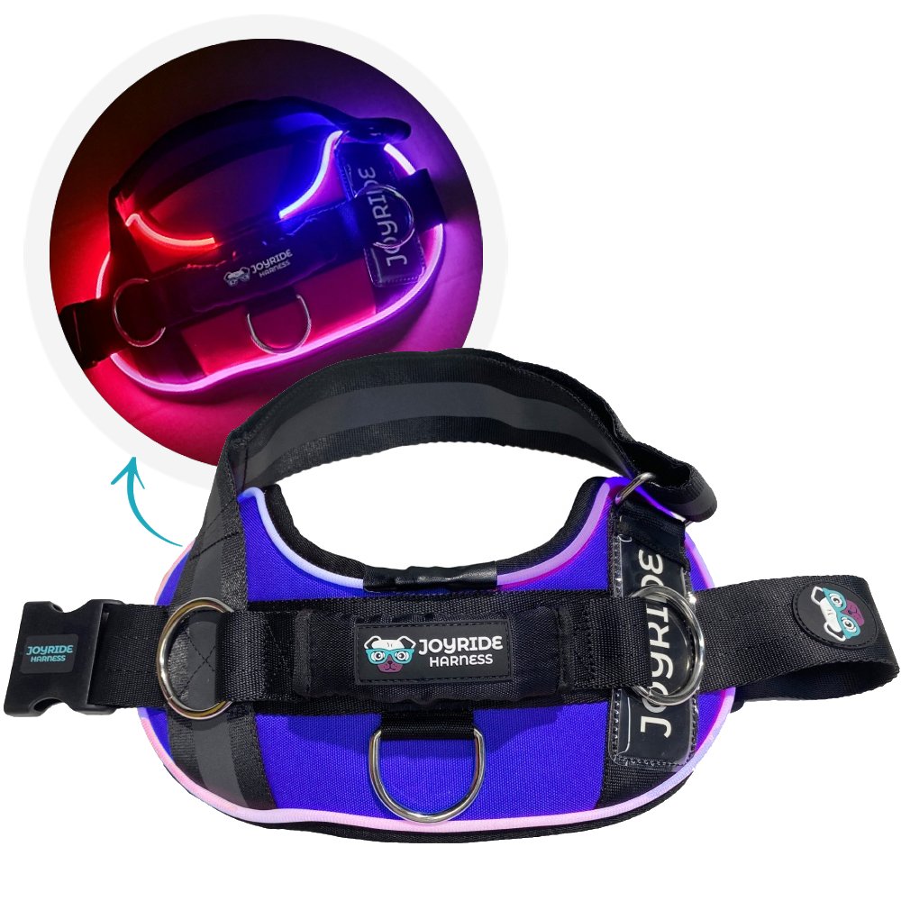 Stylish Blue LED Light-Up Dog Harness