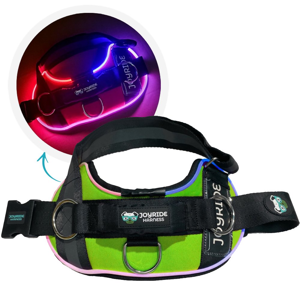Stylish Green LED Light-Up Dog Harness