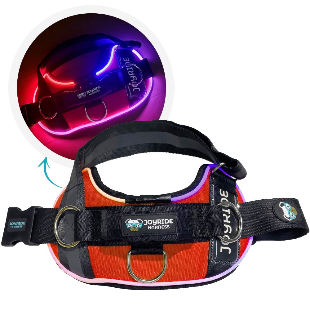 Stylish Orange LED Light-Up Dog Harness