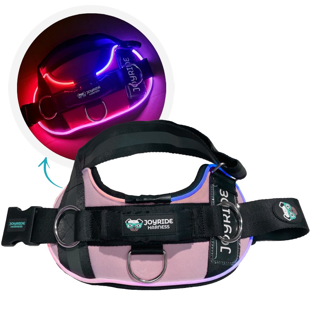 Stylish Pink LED Light-Up Dog Harness