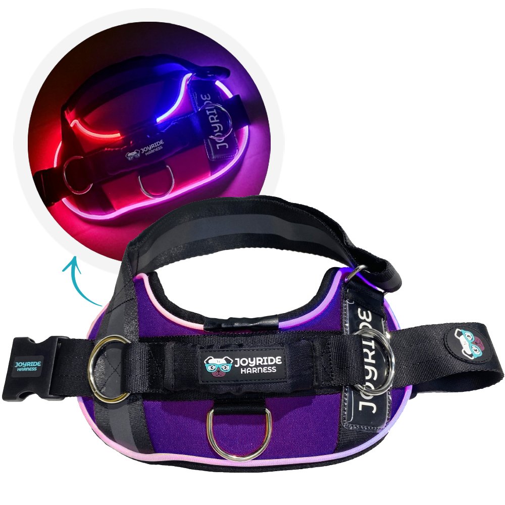 Stylish Purple LED Light-Up Dog Harness