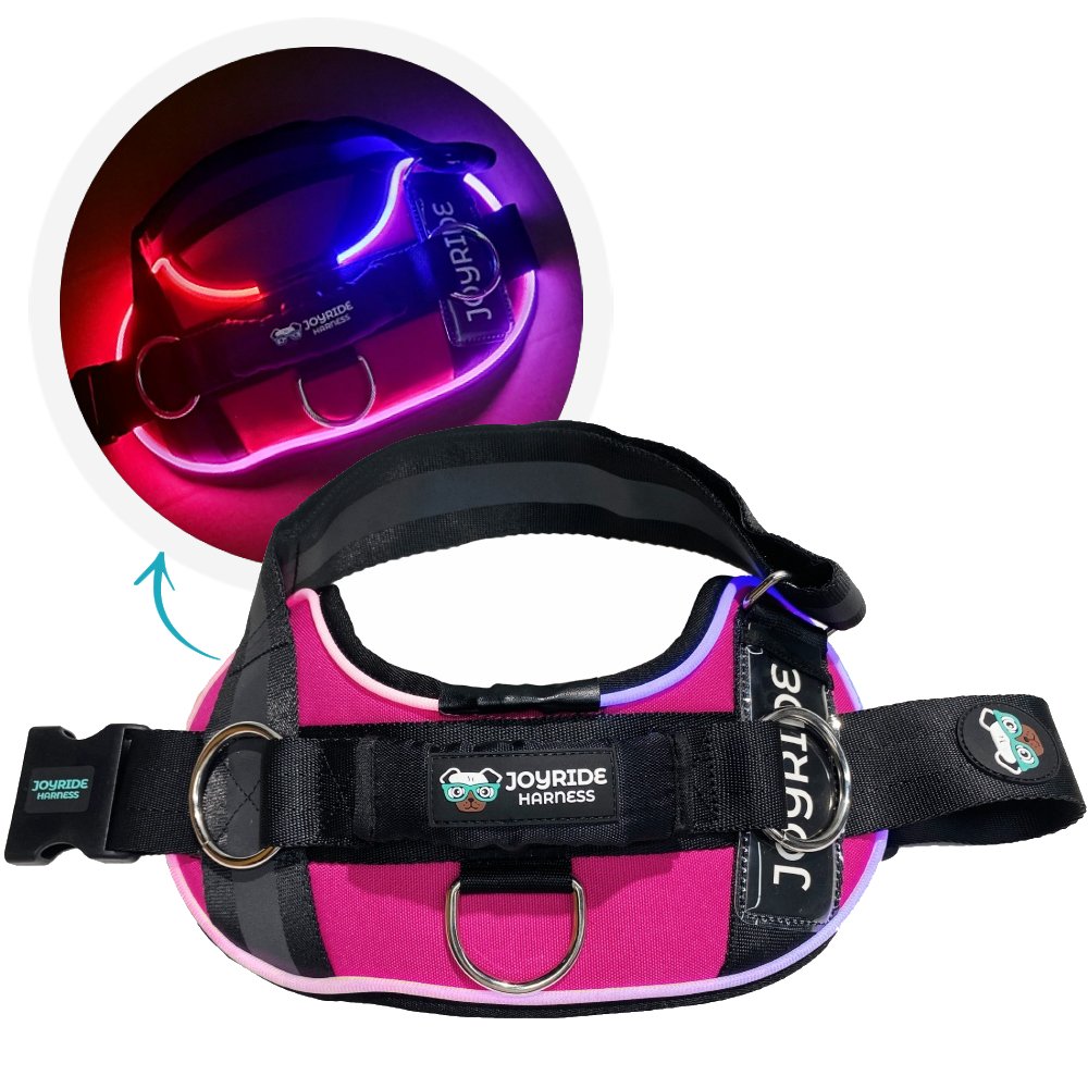 Stylish Rose LED Light-Up Dog Harness