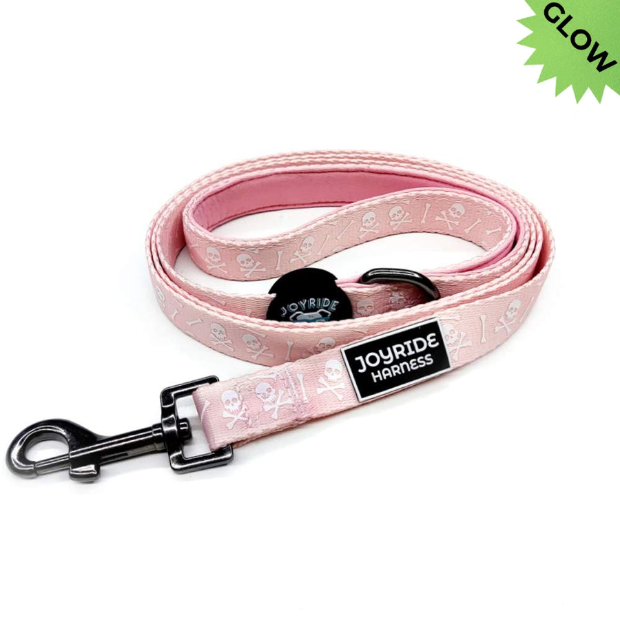 Pink Skulls Matching Dog Leash