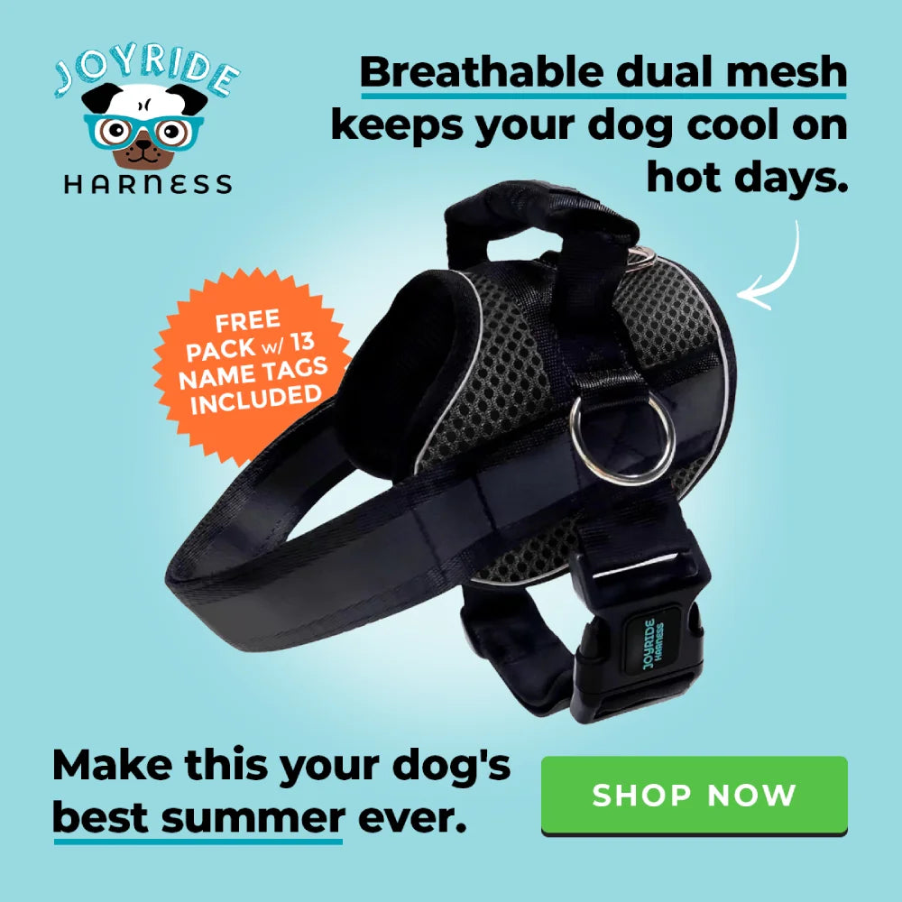 Joyride Mesh Summer Dog Harness 2.0 (Solid Colors)