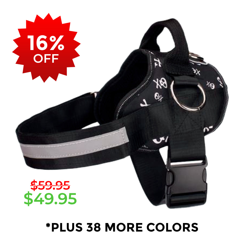 Joyride Harness 1.0 for Dogs Over 80lbs - Size XXL