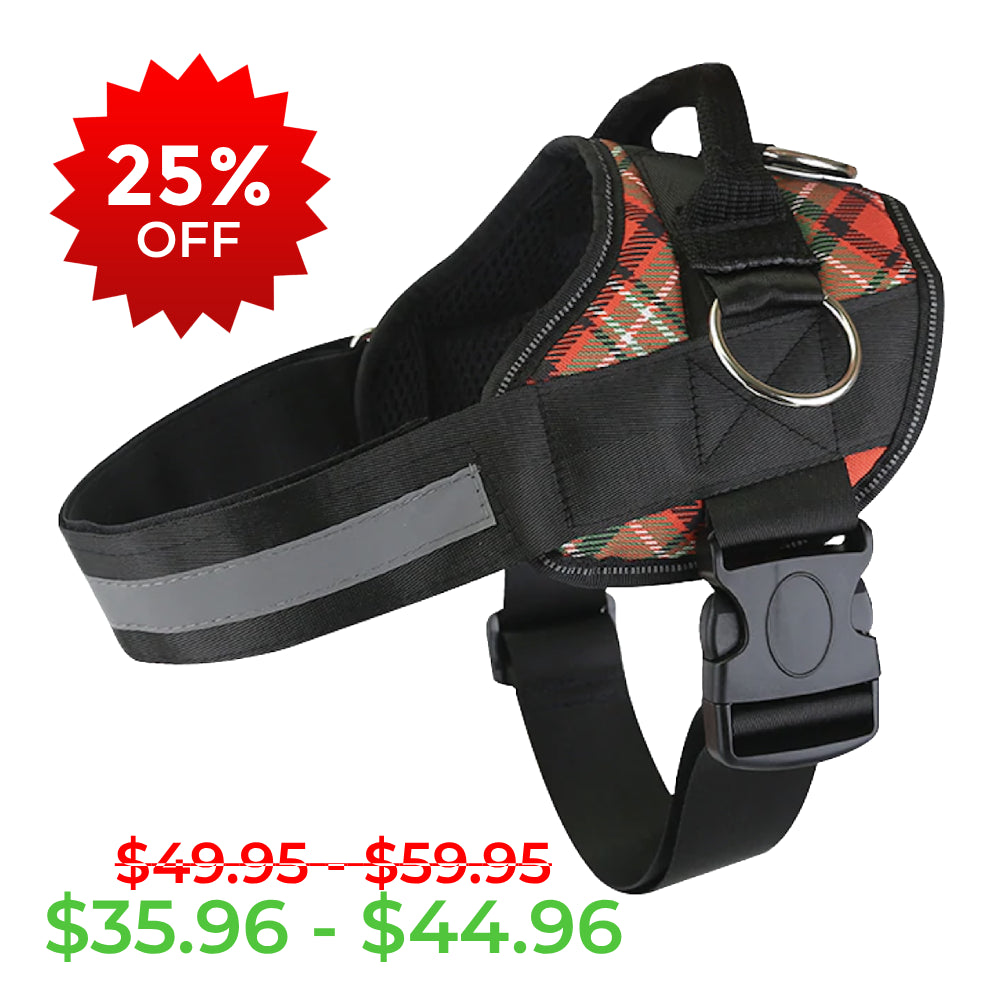 Plaid Christmas Joyride Basic Essential Dog Harness 1.0