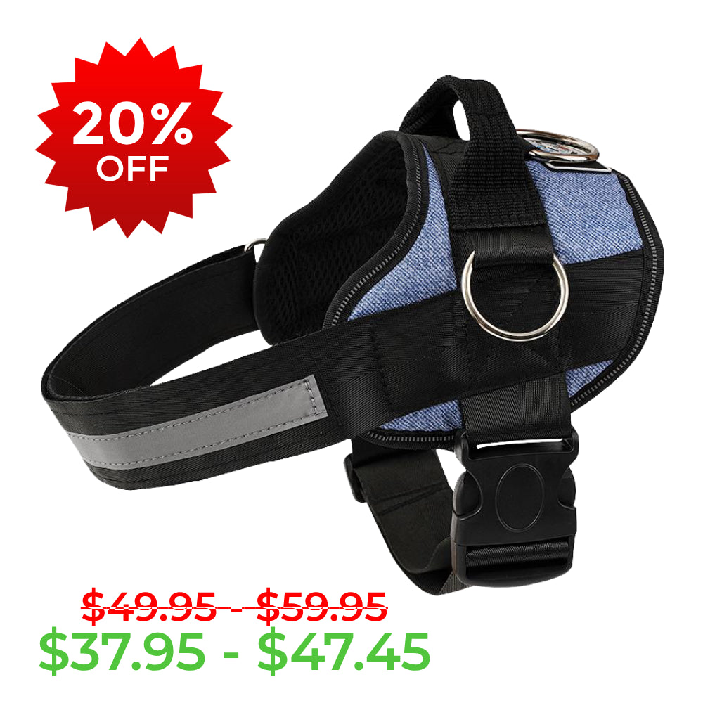 Denim Joyride Basic Essential Dog Harness 1.0