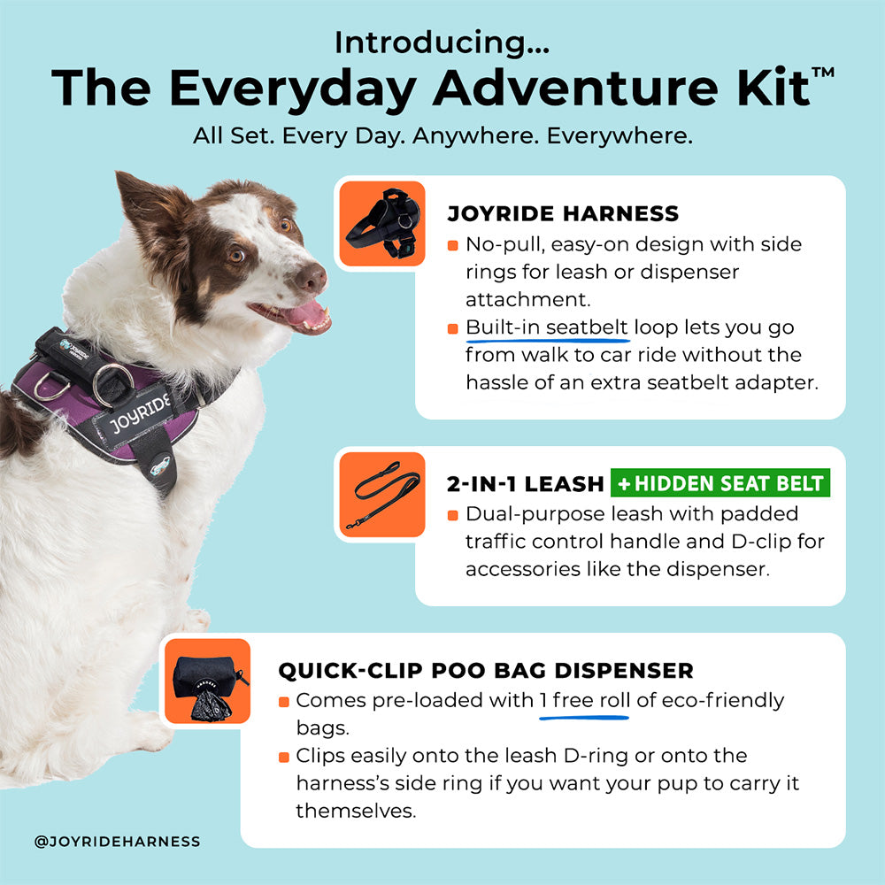 No Pull Joyride Dog Harness 2.0 | 15% Off