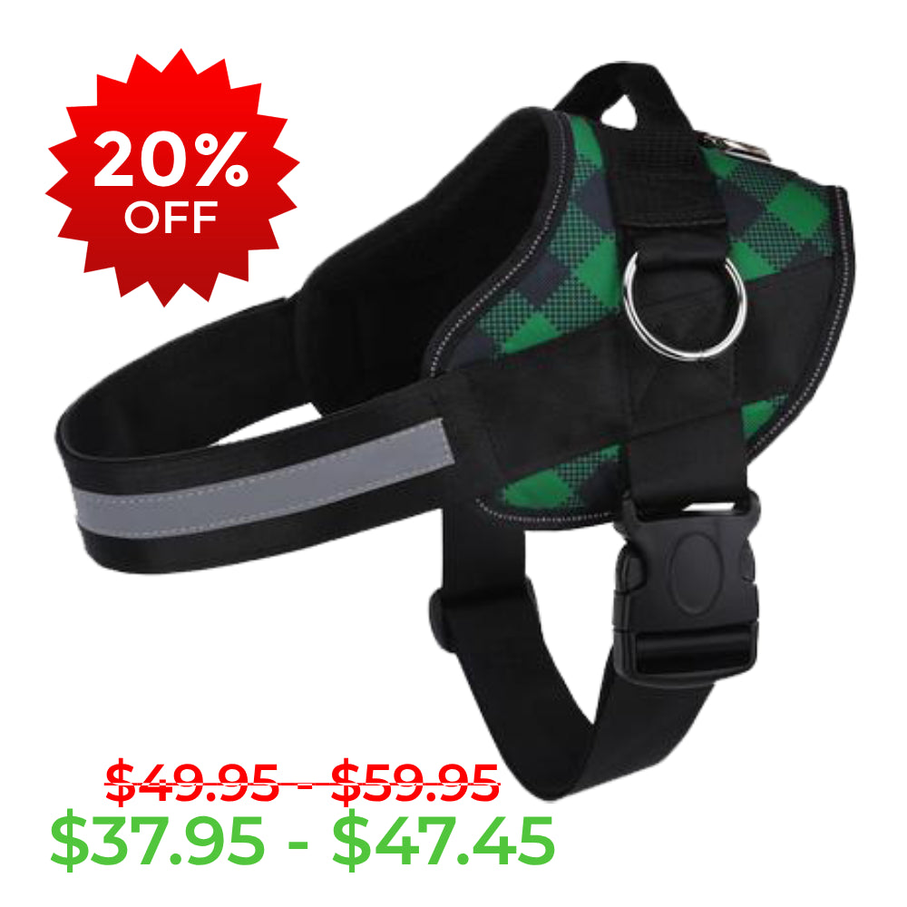 Green Plaid Joyride Basic Essential Dog Harness 1.0