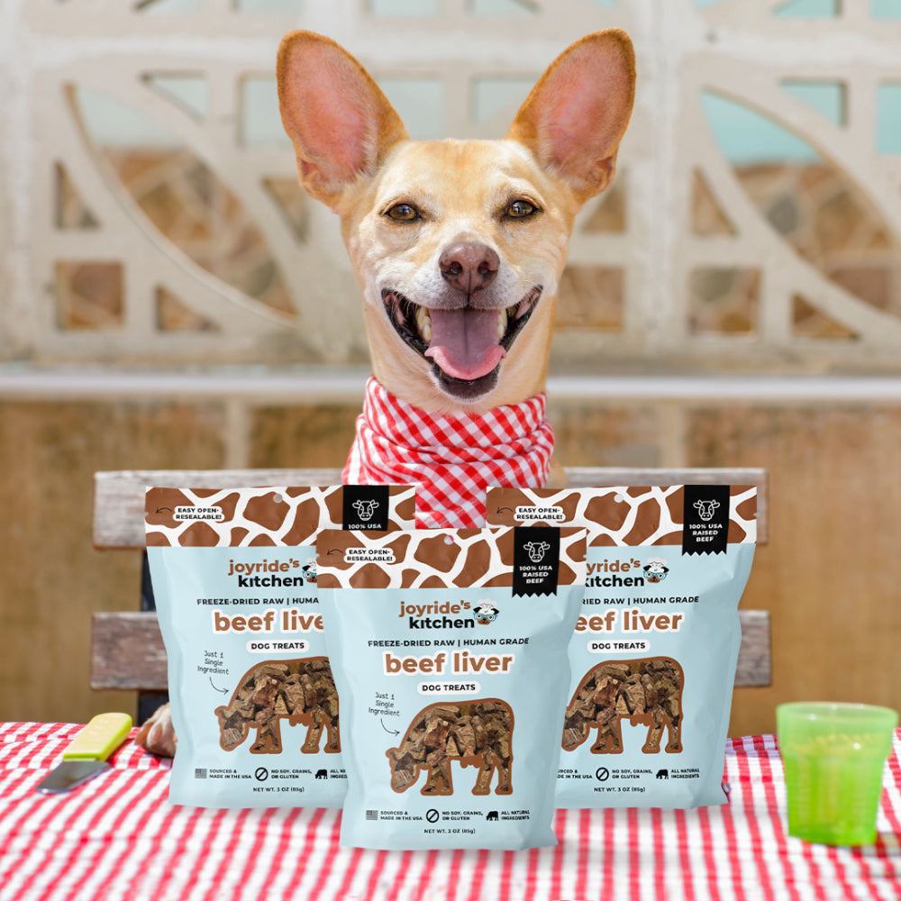 Joyride's Kitchen Premium Beef Liver Freeze-Dried Raw Dog Treats