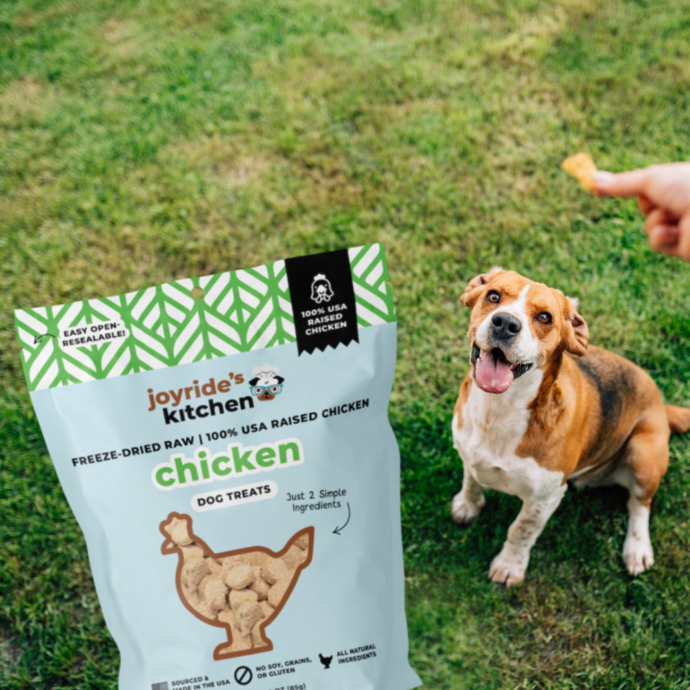 Joyride's Kitchen Premium Chicken Freeze-Dried Raw Dog Treats
