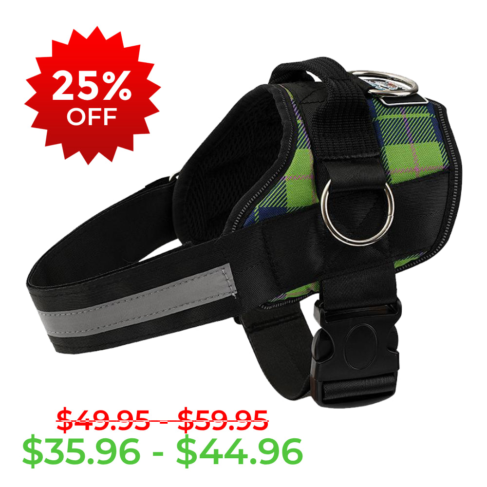 Spring Plaid Joyride Basic Essential Dog Harness 1.0