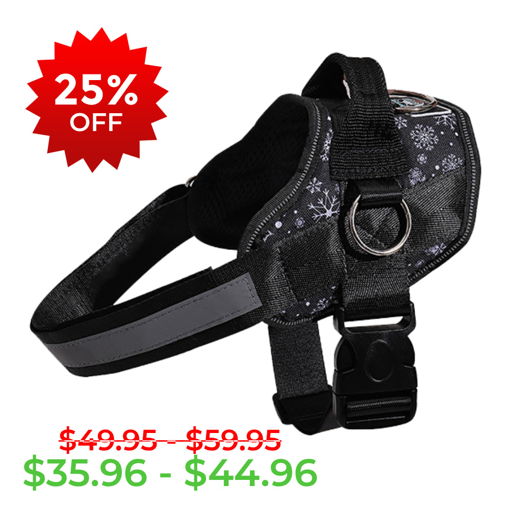Winter Snowflake Joyride Basic Essential Dog Harness 1.0