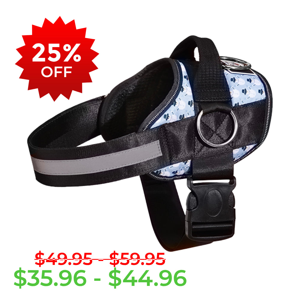 Winter Snowman Joyride Basic Essential Dog Harness 1.0
