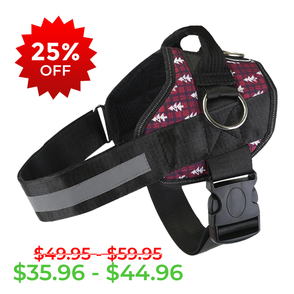 Winter Trees Joyride Basic Essential Dog Harness 1.0
