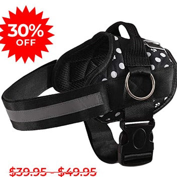 Paw Polka Dots Dog Harness Clearance