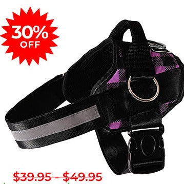 Purple Plaid Dog Harness Clearance