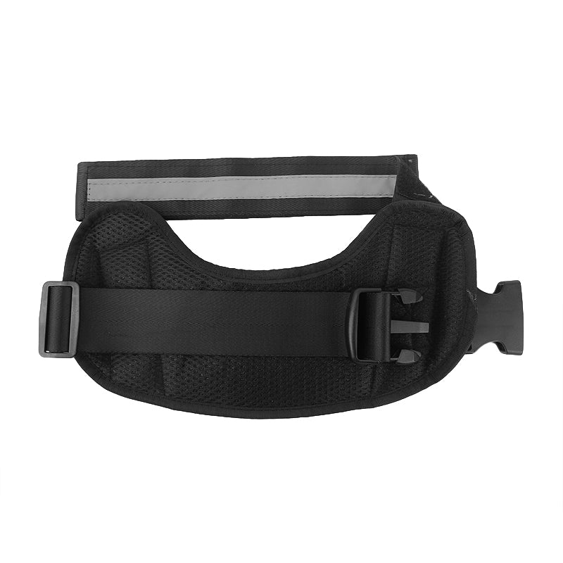 Winter Trees Joyride Basic Essential Dog Harness 1.0