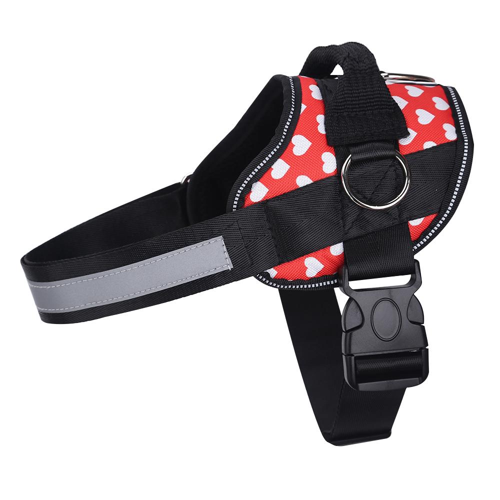 Limited Edition Joyride Harness | Save 15%