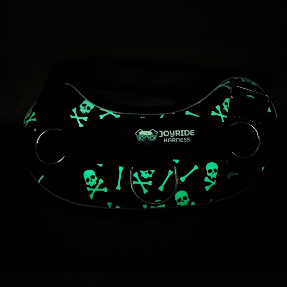 Black Skulls Joyride Premium Advanced Dog Harness 2.0