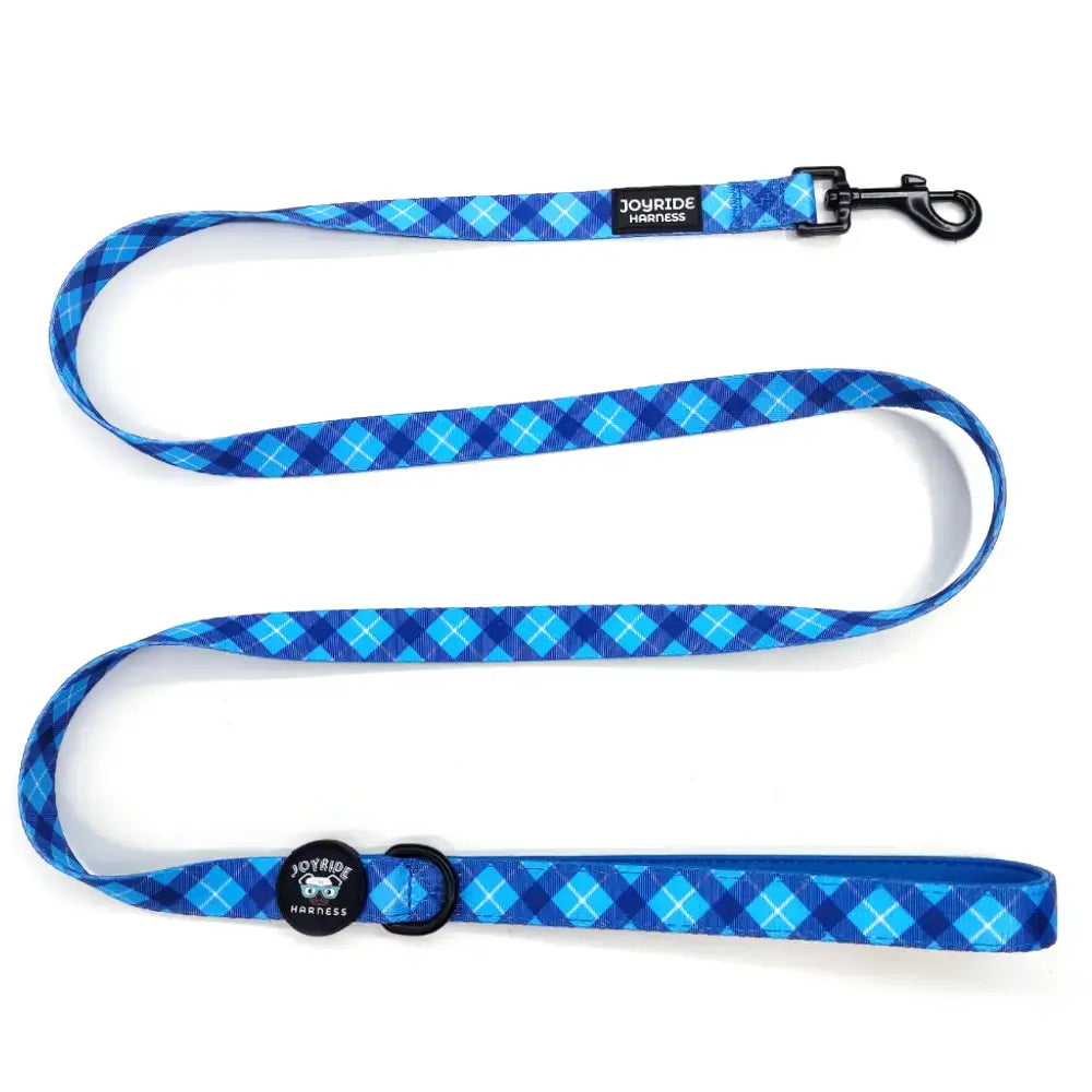 Blue Plaid Matching Dog Leash