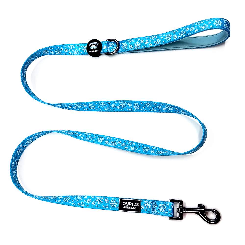 Blue Snowflake Matching Dog Leash