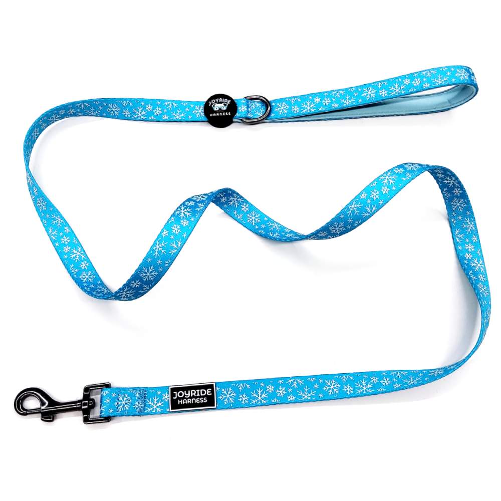 Blue Snowflake Matching Dog Leash