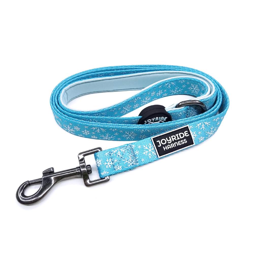 Blue Snowflake Matching Dog Leash