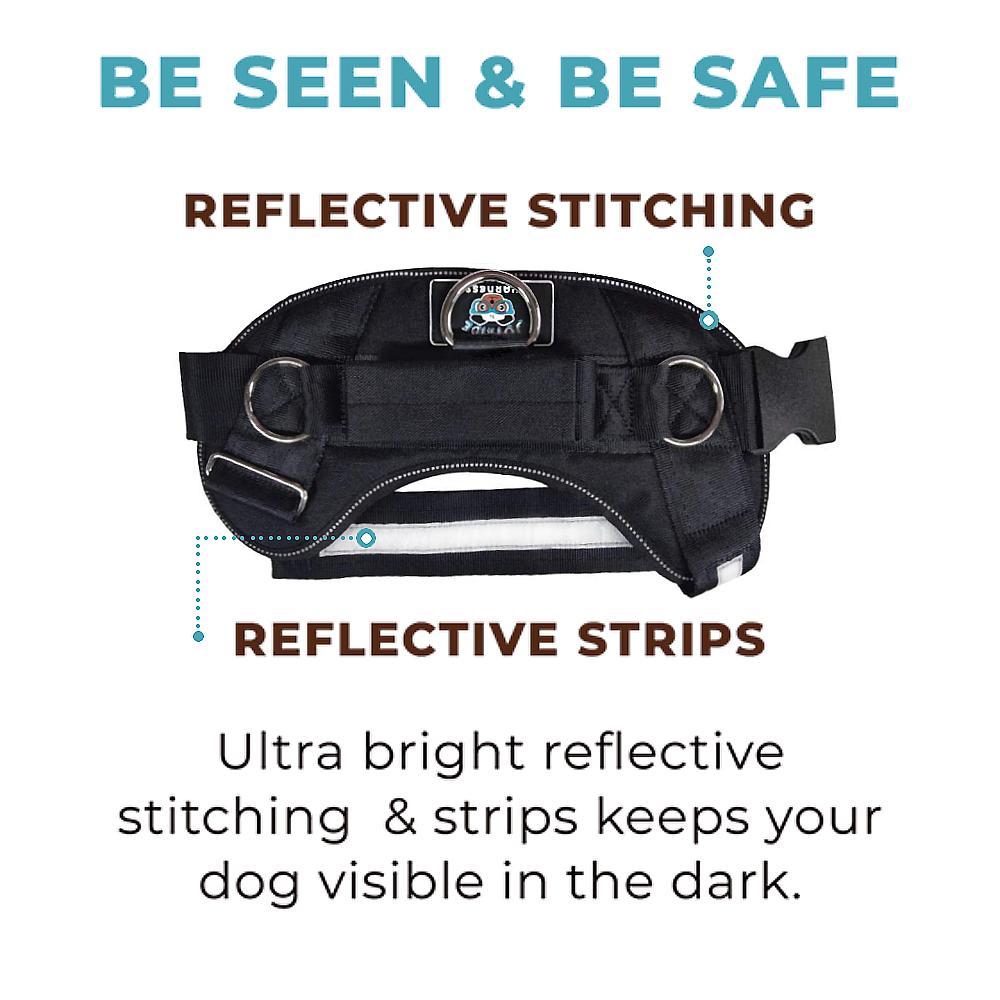 Paw Polka Dots Joyride Basic Essential Dog Harness 1.0