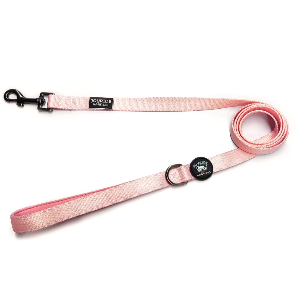 Matching Dog Leash (Solid Colors)