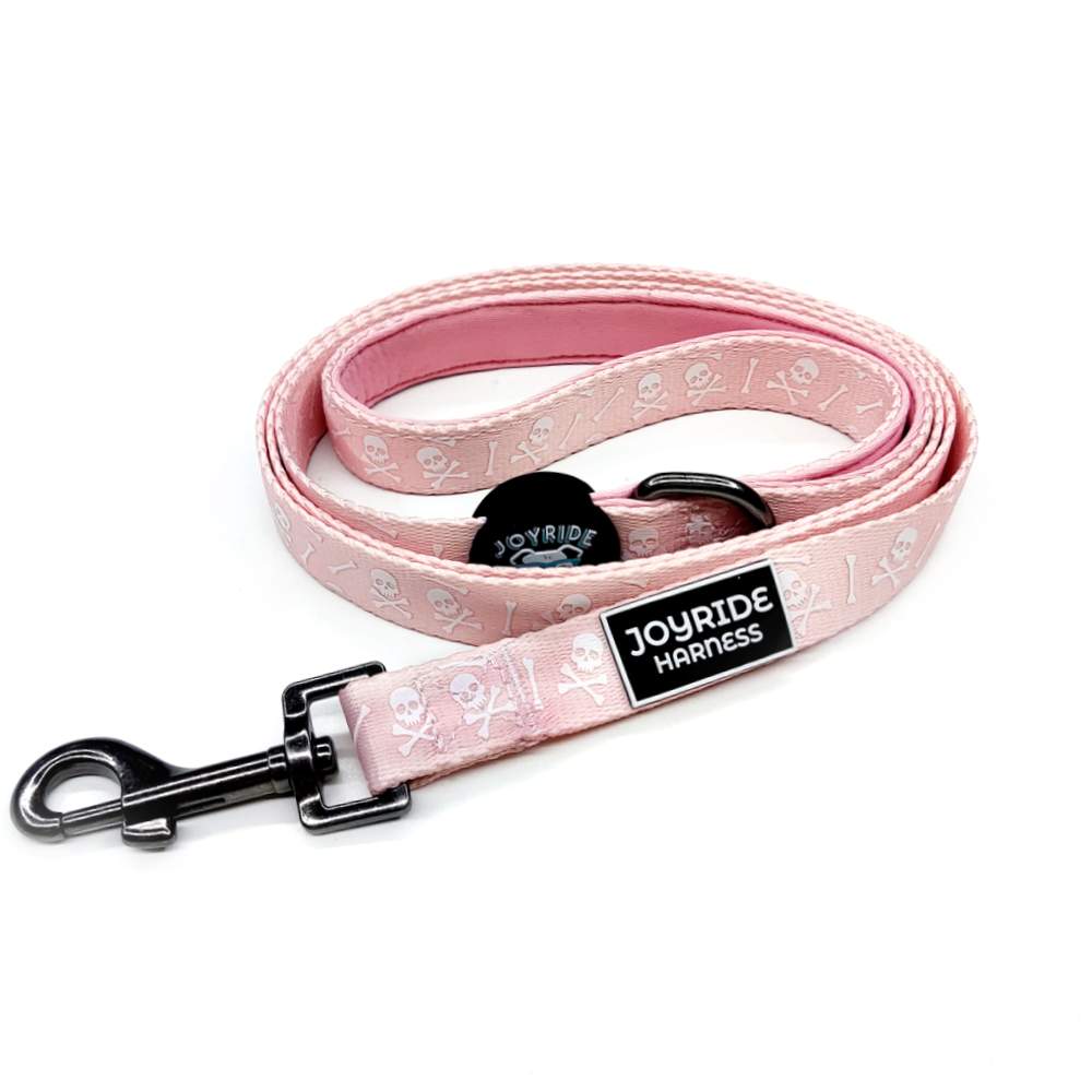 Pink Skulls Matching Dog Leash