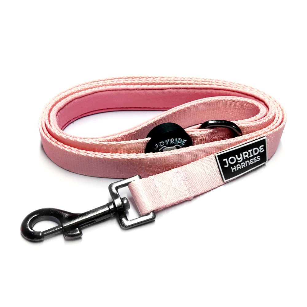 Matching Dog Leash (Solid Colors) | 15% Off