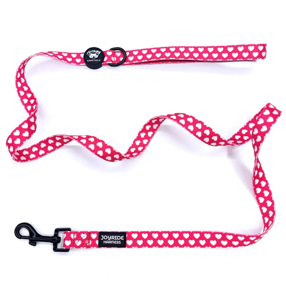 Red Hearts Matching Dog Leash